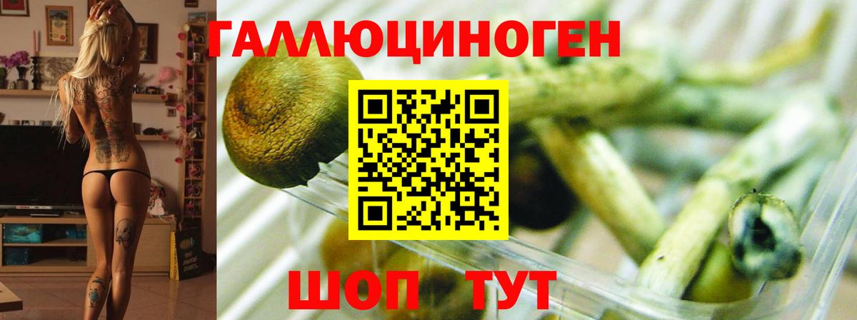 Псилоцибиновые грибы мицелий  Вход с VPN  Еманжелинск 